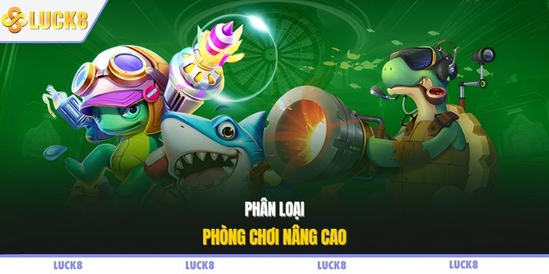 Phân loại phòng chơi nâng cao