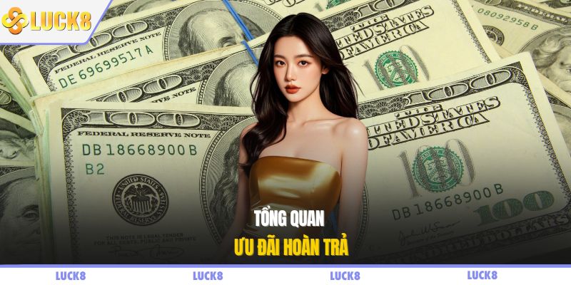 Tổng quan ưu đãi hoàn trả