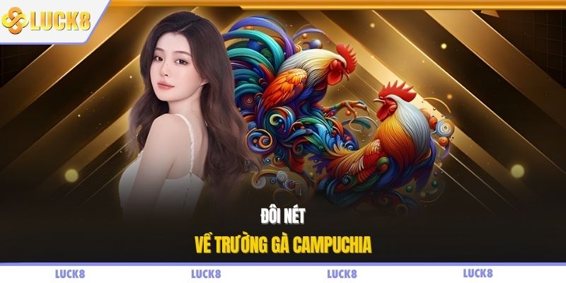 Đôi nét về trường gà Campuchia
