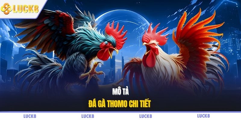 Mô tả đá gà Thomo chi tiết