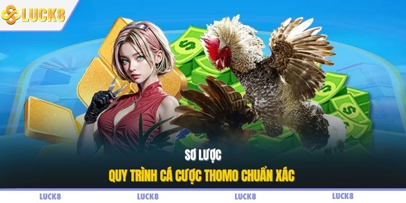 Sơ lược quy trình cá cược Thomo chuẩn xác